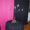 Formatura_J.Campos_008.JPG