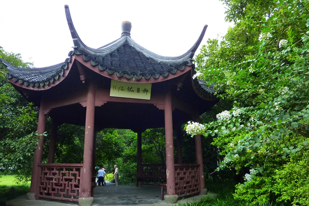 [P10908333.jpg]