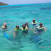  Snorkel Buck Island Reef 