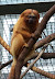 National Zoo in August
