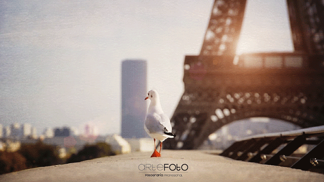 Cine6-Eiffel-model