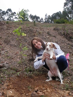 Trekking 2 (240) Trekking 2 (240)