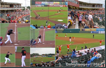 Shorebirds game collage Shorebirds game collage