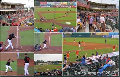 Shorebirds game collage