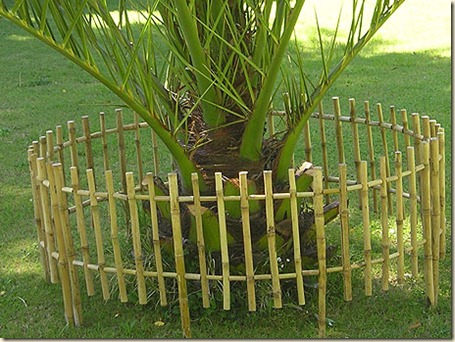 Decoración de Jardines con Cañas1