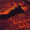 DSCN2480.JPG