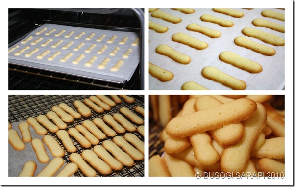 LENGUA DE GATO STEP9-12© BUSOG! SARAP! 2010 LENGUA DE GATO STEP9-12© BUSOG! SARAP! 2010