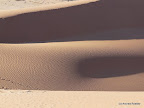 Hidden Vlei