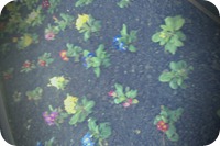 FxCam_1330934558911