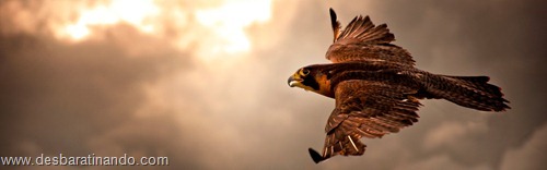 wallpapers dual screen duas telas desbaratinando (6) wallpapers dual screen duas telas desbaratinando (6)
