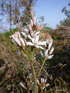 [P1140494%255B3%255D.jpg]