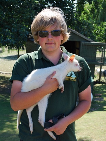 [Josh%2520Work%2520Experience%255B3%255D.jpg]