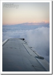 IMG_0421eweb IMG_0421eweb