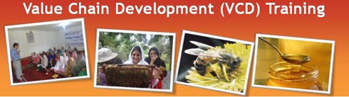 VCD Training Banner