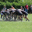 k-IMG_3875.JPG