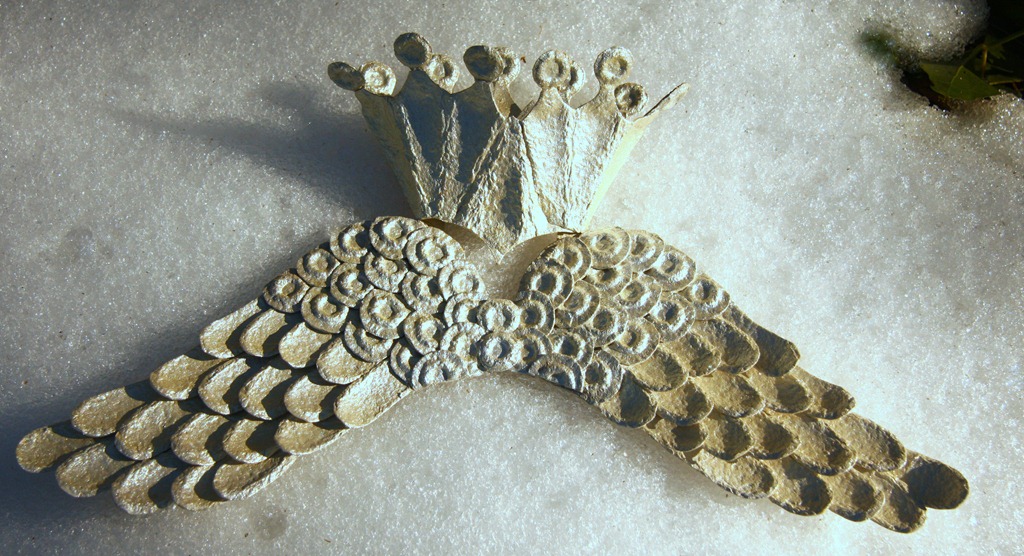 [Ali%2520%2520Corona-4%255B3%255D.jpg]