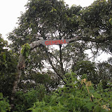 A sign at the grassy summit of Beuticanar (Daniel Quinn, June 2010)