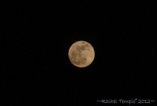 moon