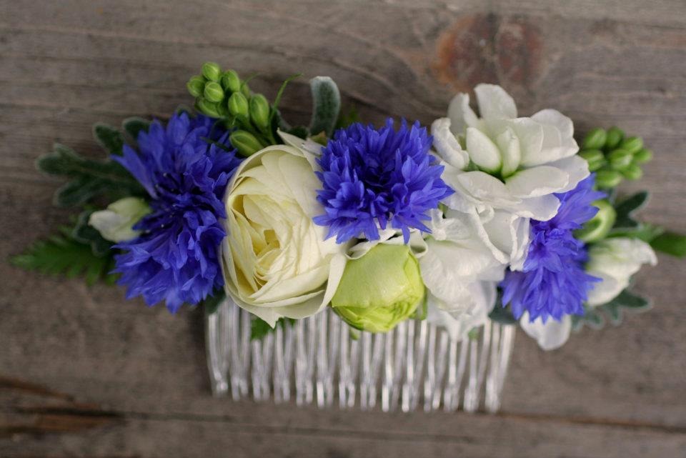 [centaurea-545606_409344719097590_107.jpg]
