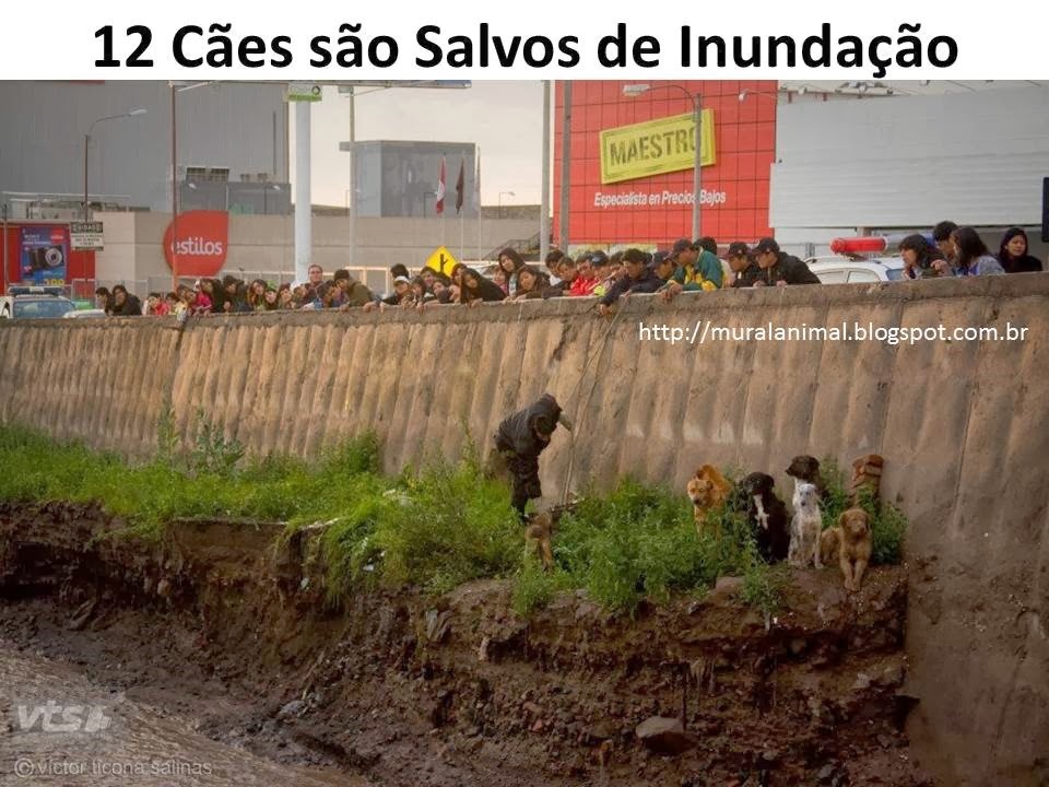 [Slide5%255B3%255D.jpg]