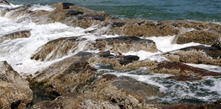 Mar Mar