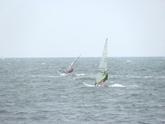 Cape Cod wind surfers