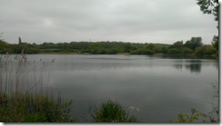 IMAG0618