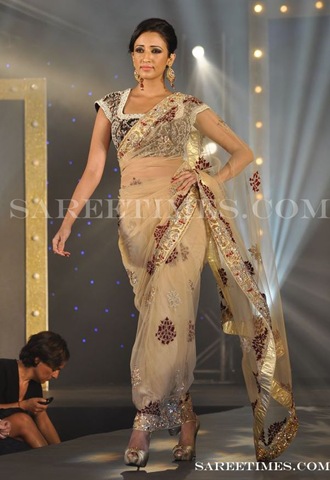 [Gold_Shimmer_Saree_Gitanjali_Fashion_Show%255B3%255D.jpg]