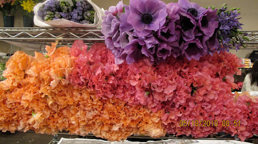 The coral and peach sweet peas combined with purple anemones create a floral rendition of a Rothko painting.