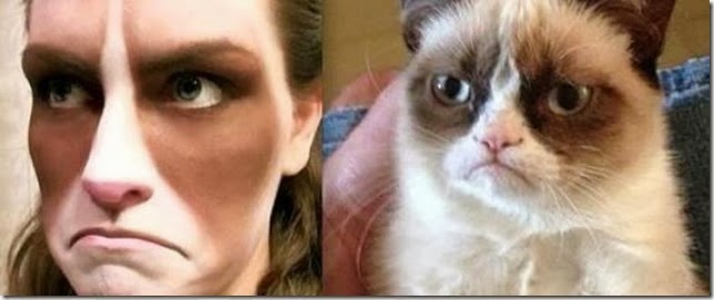 n-GRUMPY-CAT-large570 n-GRUMPY-CAT-large570