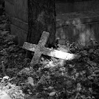 IMGP5708_bw.jpg IMGP5708_bw.jpg