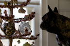 Sharkey, some of these ornaments look kind of scary, like this grizzly bear and this wolf.