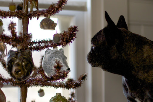 Sharkey, some of these ornaments look kind of scary, like this grizzly bear and this wolf.