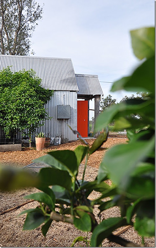 studio garden