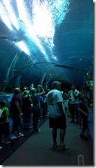 2012-07-16_12-55-57_535 2012-07-16_12-55-57_535
