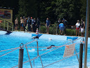 P7050928.JPG