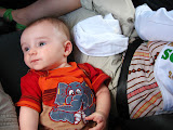 Matimu didn't seem all that interested in the wildlife most of the time, and instead he was content to just lay on the seat between mom and dad. Transition to Madagascar - 032.jpg