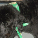 DSCN3575.jpg