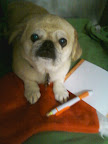 Abby, 