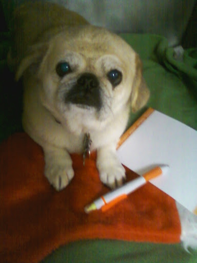 Abby, Abby,