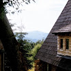 tadeo_po_godzinach_13.jpg