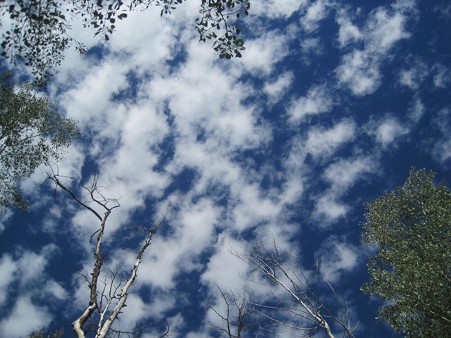 IMG_5386 IMG_5386