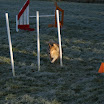 DSC08931.JPG