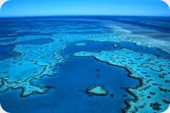 oceanos al limite oceanos al limite