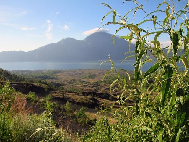 [IMG_10012.jpg]