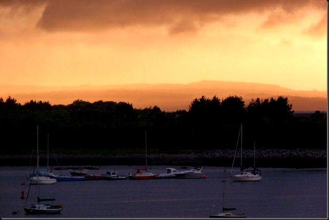 estuary 019