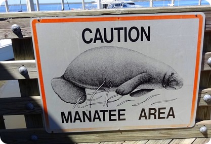 manatee area