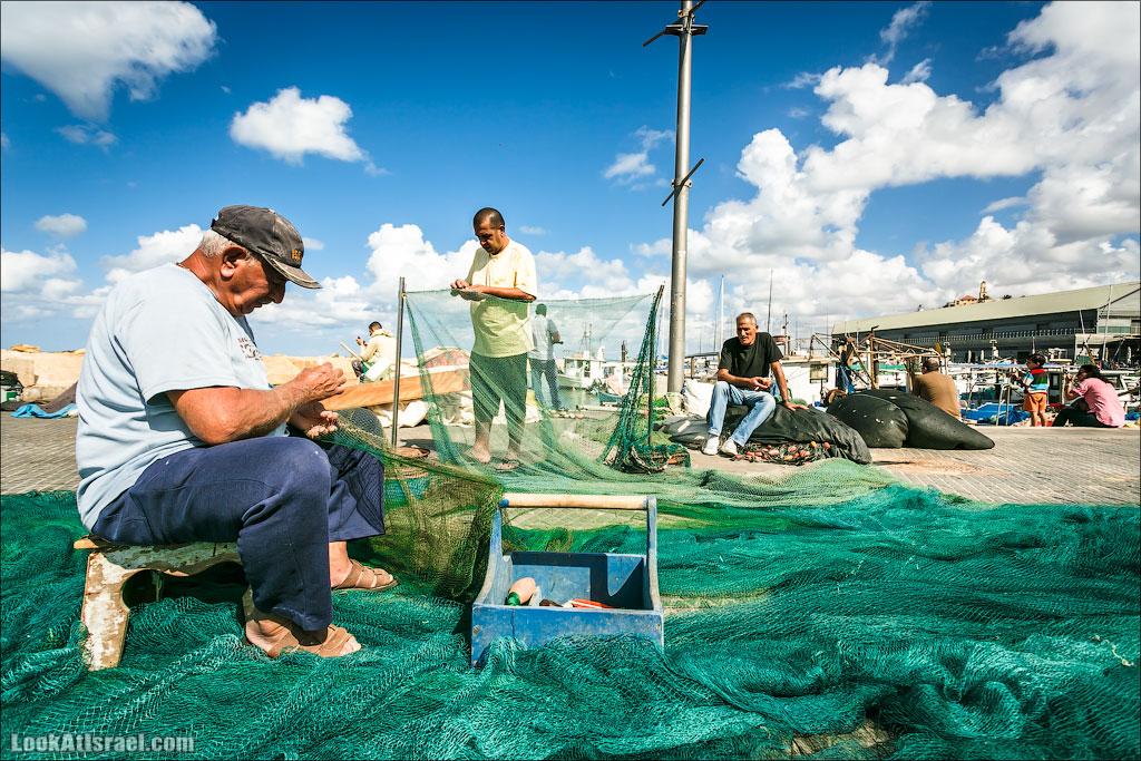 Такие разные яффские рыбаки