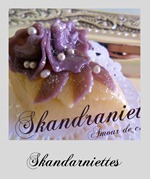 skandraniette-gateau-moderne_5