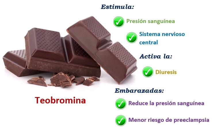 Beneficio del chocolate - teobromina
